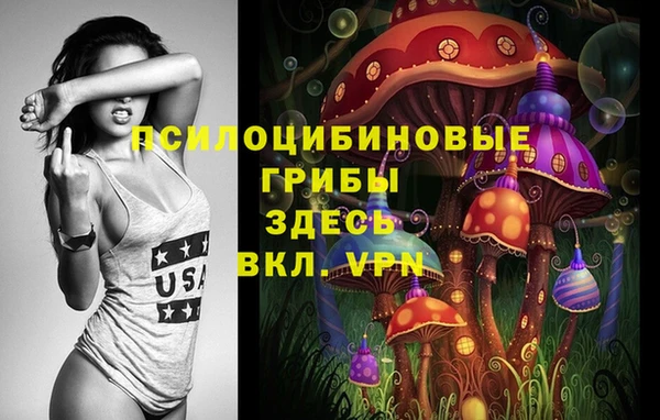 прущие грибы Алексин