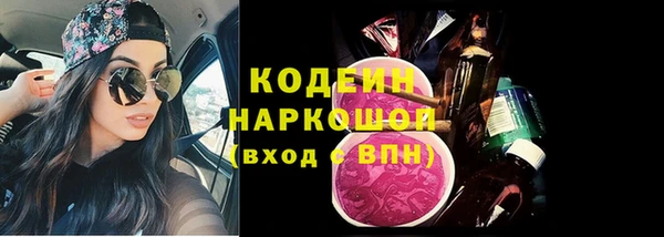 дмт Пестово