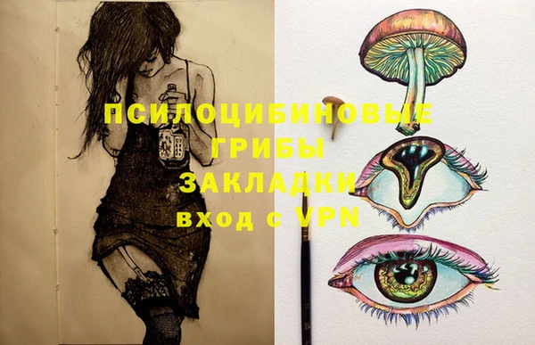 а пвп мука Абаза
