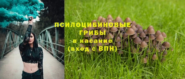прущие грибы Алексин
