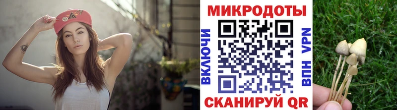 Галлюциногенные грибы MAGIC MUSHROOMS  что такое наркотик  Прохладный 