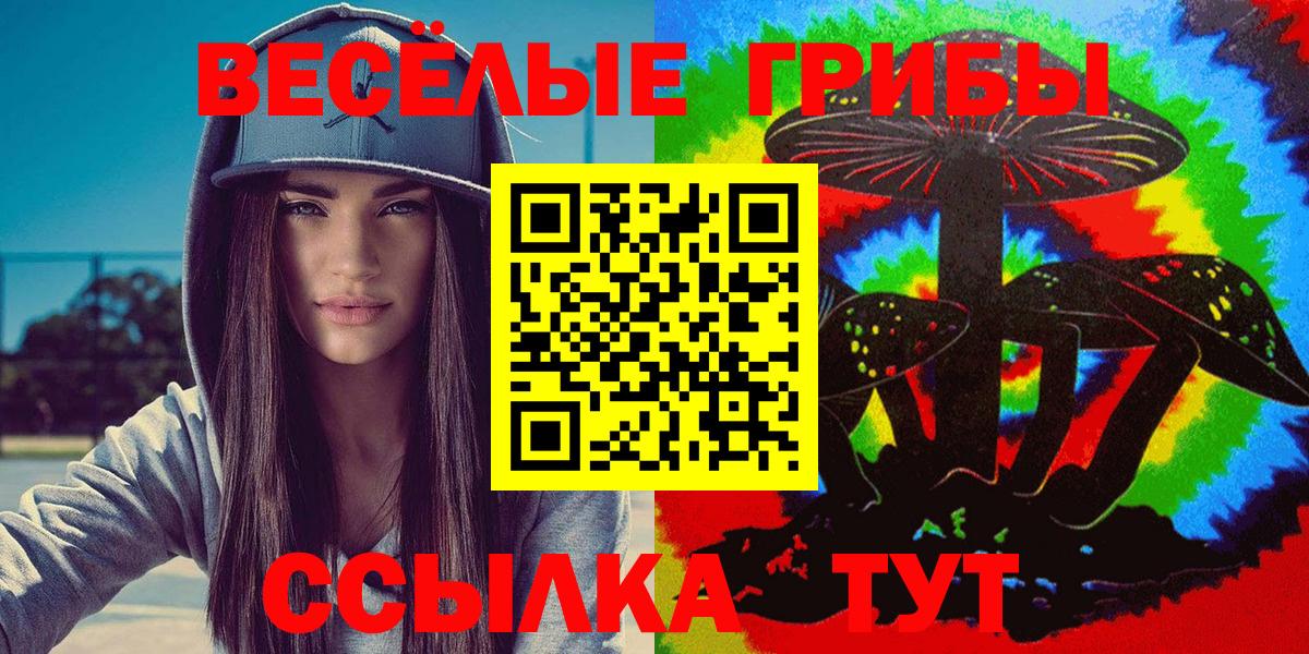 Псилоцибиновые грибы прущие грибы Прохладный
