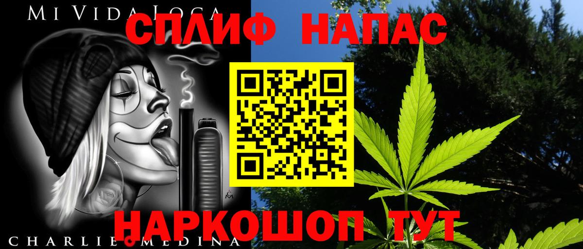 Шишки марихуана сатива Прохладный