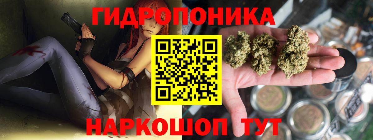 Бошки марихуана индика  МАРИХУАНА MAZAR  Вход с VPN  МАРИХУАНА гибрид  Прохладный 